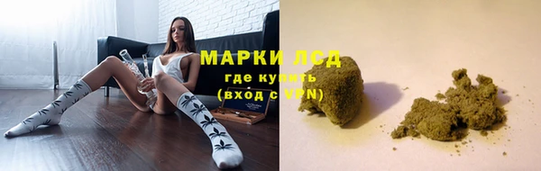 apvp Краснослободск