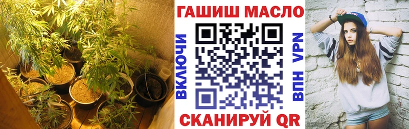 что такое   Малгобек  ТГК THC oil 