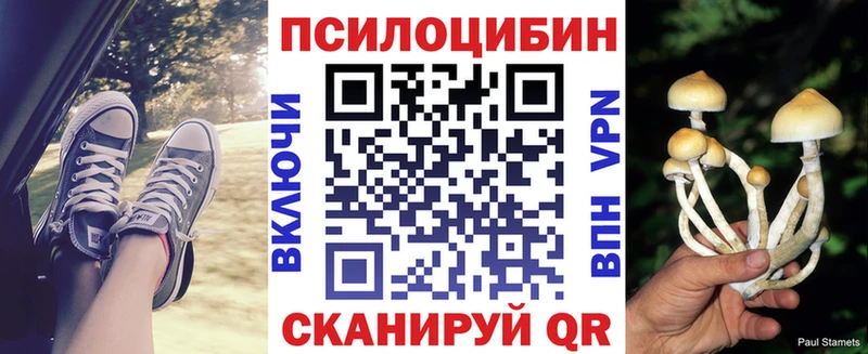 цена наркотик  Малгобек  MEGA как войти  Псилоцибиновые грибы GOLDEN TEACHER 